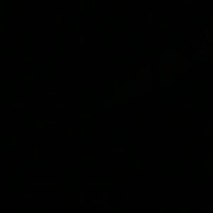 Meet your Posher, Ashely